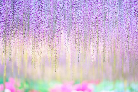 早安心语150401：伤得最深的，也总是那些最真的感情。