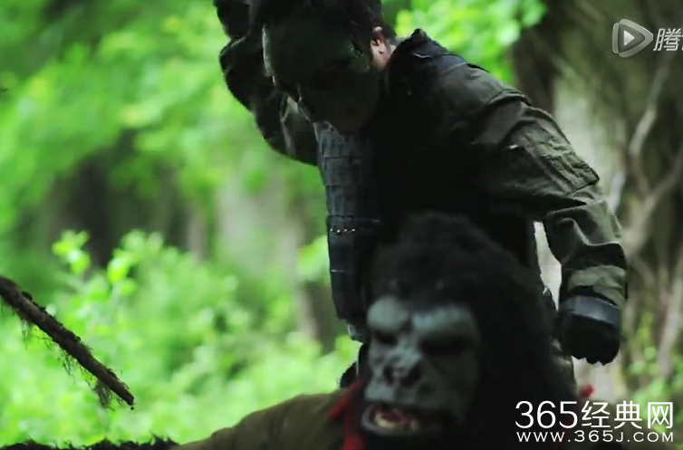 《马里奥战争》第3集中文字幕在线观看：碧琪公主联手大金刚