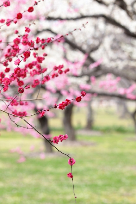 早安心语150401：伤得最深的，也总是那些最真的感情。