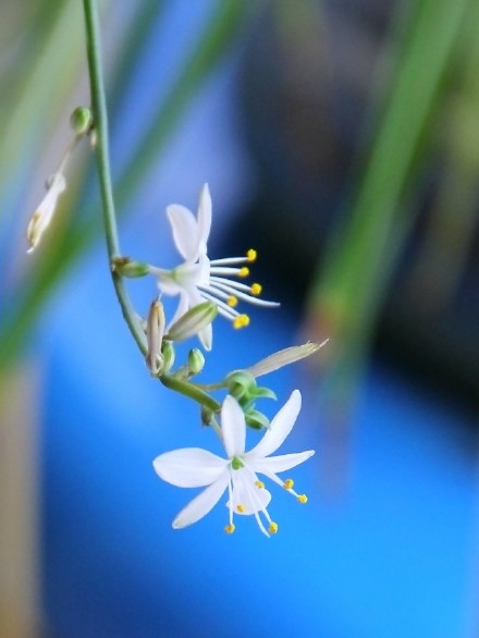 早安心语150401：伤得最深的，也总是那些最真的感情。