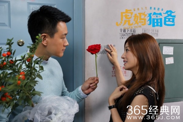 《虎妈猫爸》播出时间演员表播出平台剧情介绍  赵薇另类脖咚佟大为