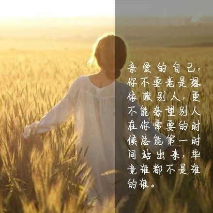 早安心语150401：伤得最深的，也总是那些最真的感情。