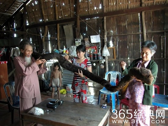 世界上头发最长的人：长6.8米 重9公斤