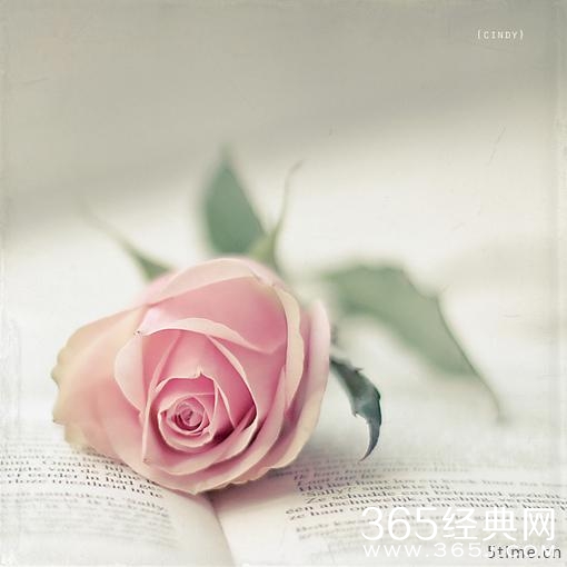 2015年一句话情感年度语录精选