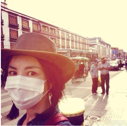 王菲被曝已怀孕 谢霆锋母亲：别追问我他们的事