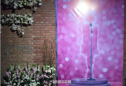 姚贝娜追思会在京举行 冯小刚陈楚生含泪悼念姚贝娜去世77天