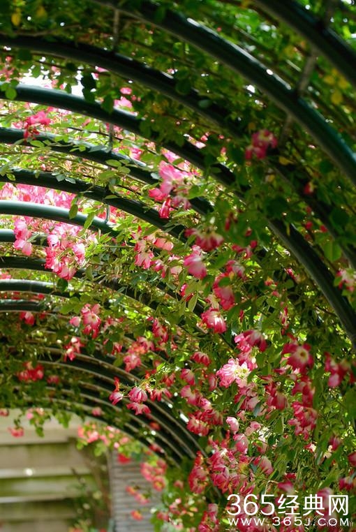 2015年20条经典人生感悟