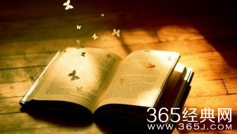 这世界，让人目瞪口呆