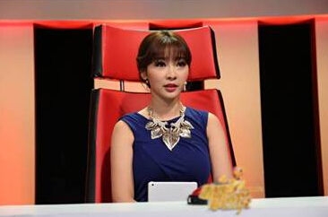 《精彩中国说》首播 王刚柳岩加盟