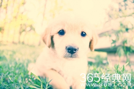 愚人节恶搞短信大集锦，让节操飞的更猛烈些吧~