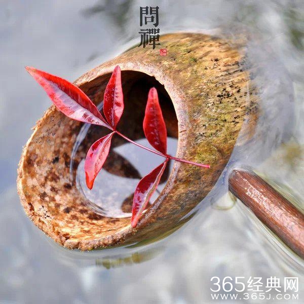 十句话，折射一个人气质