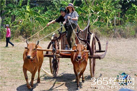 《前往世界的尽头》中姚笛录节目发生了什么事情？ 臀部淤青膝盖渗血是怎么回事