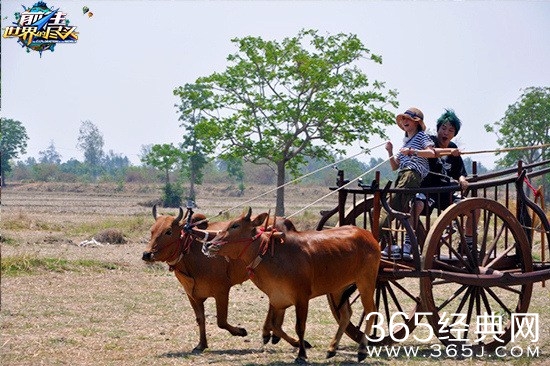 《前往世界的尽头》中姚笛录节目发生了什么事情？ 臀部淤青膝盖渗血是怎么回事