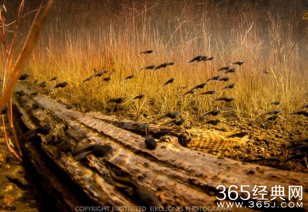 你若不勇敢，青春便老去