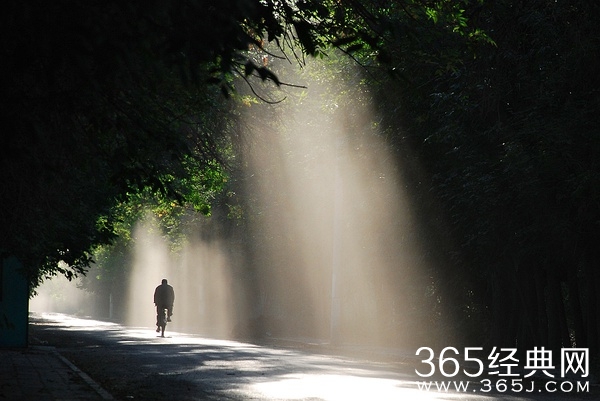 只是看起来很努力