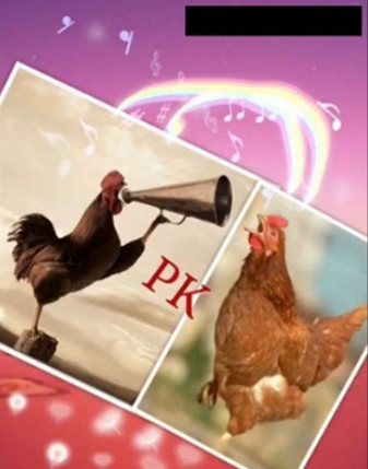 公鸡版《上海滩》太充满魔性了