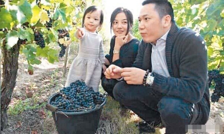 赵薇身家暴涨44.5亿是怎么回事 赵薇富商老公家产多少亿揭秘