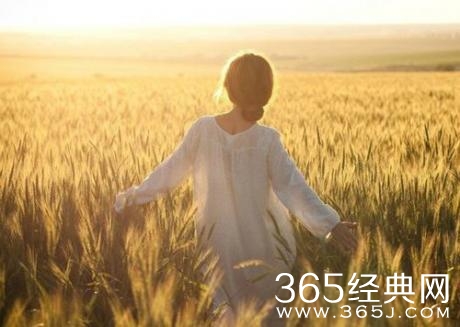 伤心的个性签名集锦：心伤了，谁能懂