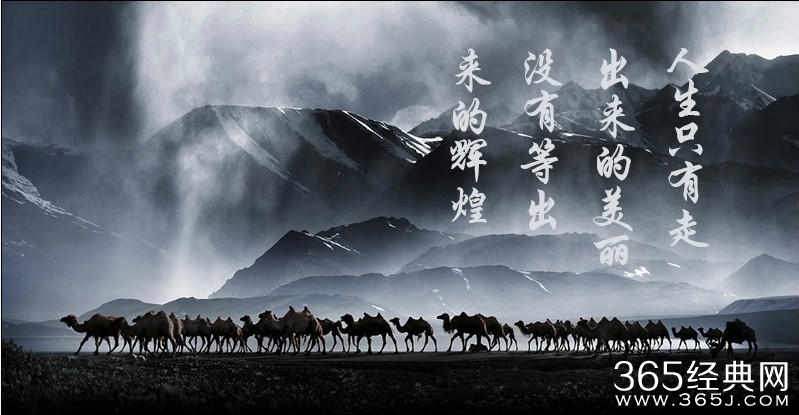 抱怨的人永远是打工的命