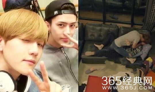 《我的邻居是exo》伯贤和世勋是主角吗 伯贤和世勋玩沙发壁咚照片视频观看