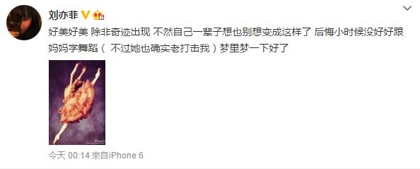 刘亦菲晒芭蕾舞造型照 网友：我还以为是烤翅呢