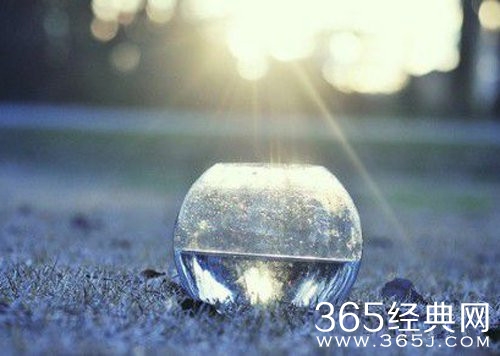 总有个人会纵容你的任性，许你一世欢颜