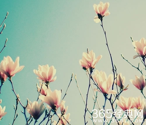 其实成功并不遥远，也不需要太长的时间