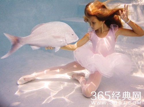 我们为什么不喜欢你