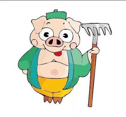 两头猪的真爱，看完哭了！