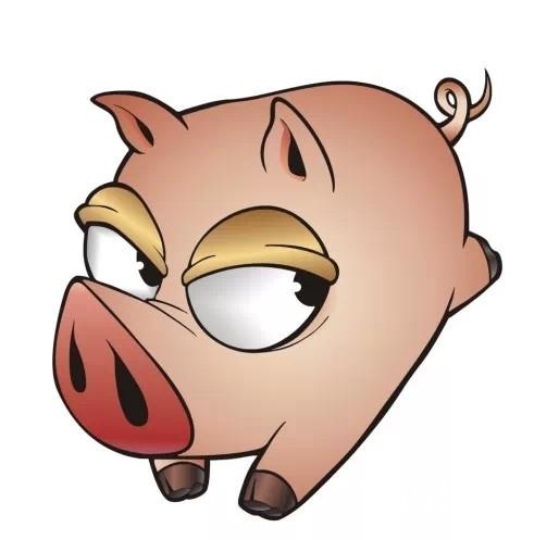 两头猪的真爱，看完哭了！