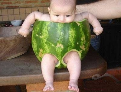 爆笑短信精选 你忍都忍不住