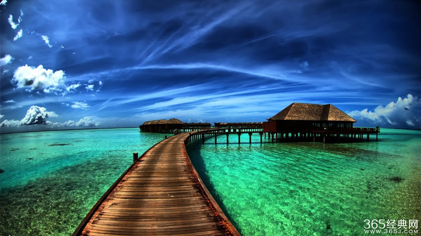 上帝没有看轻卑微