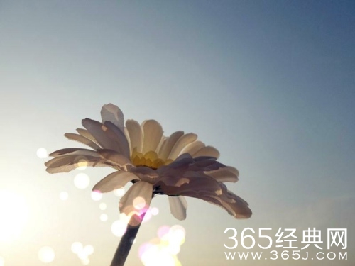 唯美空间心情说说：放弃你是我做过最勇敢的事