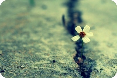 等风来，追逐梦想的旅程