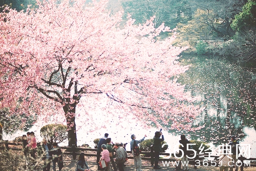 工作不是用月薪买断生命，而是用错误纠正人生