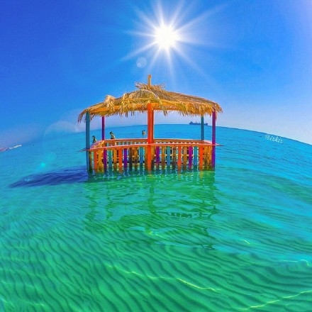 早安心语：坚持，是生命的一种毅力！