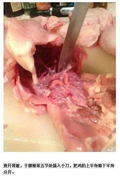 医学生炖鸡照网络爆红 靠解剖功底将鸡脱骨