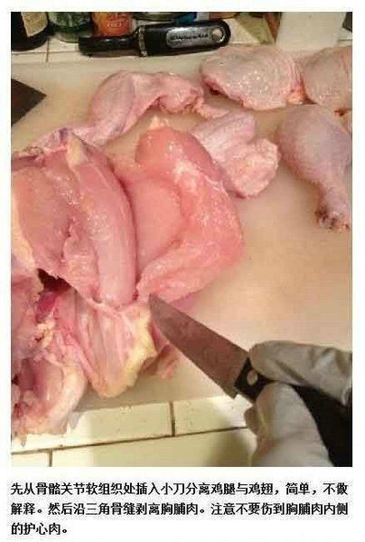 医学生炖鸡照网络爆红 靠解剖功底将鸡脱骨