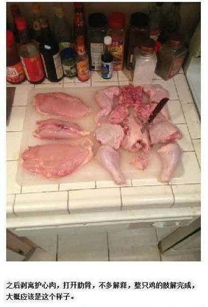医学生炖鸡照网络爆红 靠解剖功底将鸡脱骨