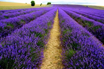 2015正能量唯美空间说说精选