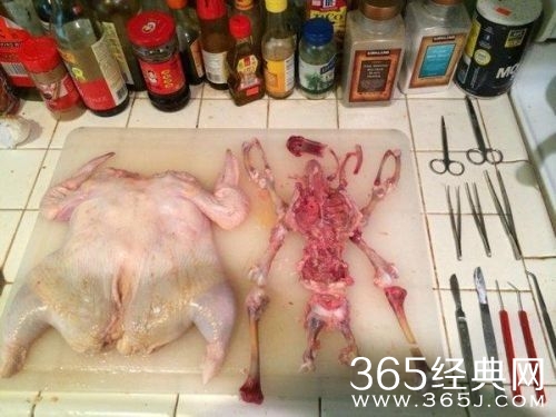 医学生炖鸡照网络爆红 靠解剖功底将鸡脱骨