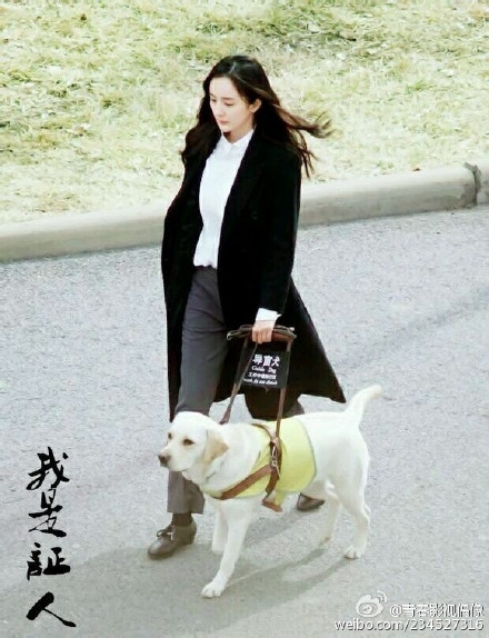 《我是证人》现场照曝光 杨幂长发清丽鹿晗滑旱冰险摔倒