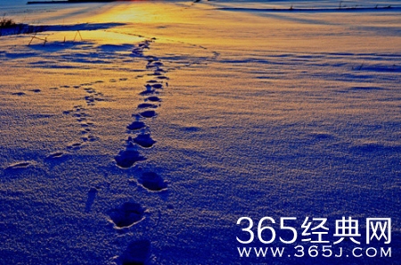 这4个励志故事，最近很火