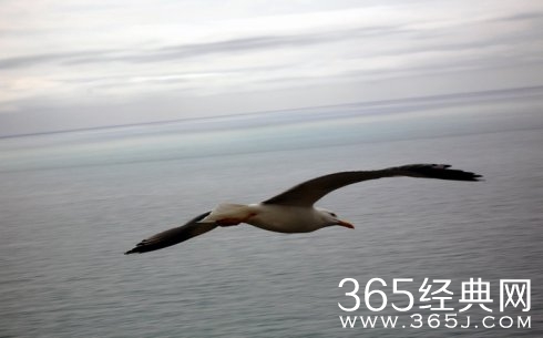 2015最新的经典教育励志名言