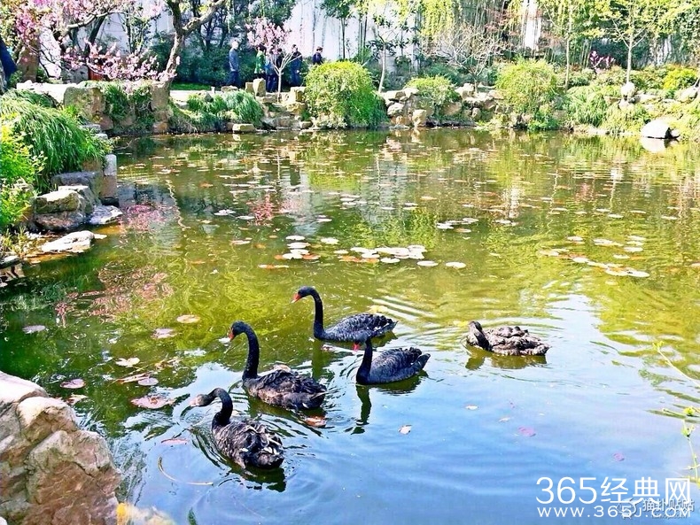 女神小蝶美照来袭 分分钟让你惊呆