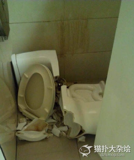 你跟马桶有什么仇？非用这高难度的姿势