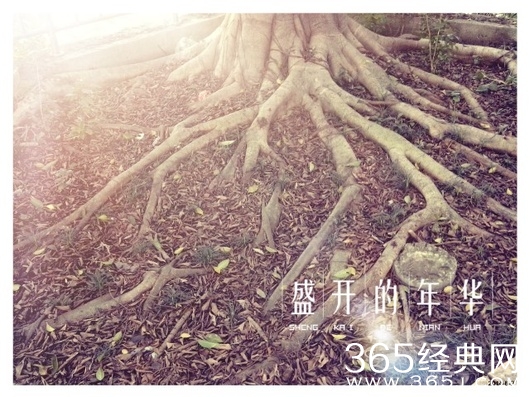 经典励志故事：下一个10000小时，你打算怎样度过