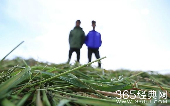 变形计青春牧歌回归150416期预告_花美男郭尧喊妈妈去死_365经典网