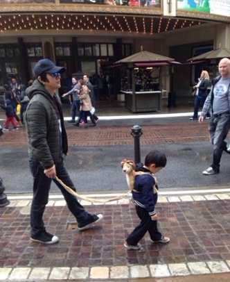 爸爸回来了2嘉宾阵容