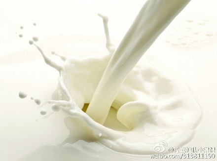 牛奶加醋竟是瘦身好搭档！_365经典网